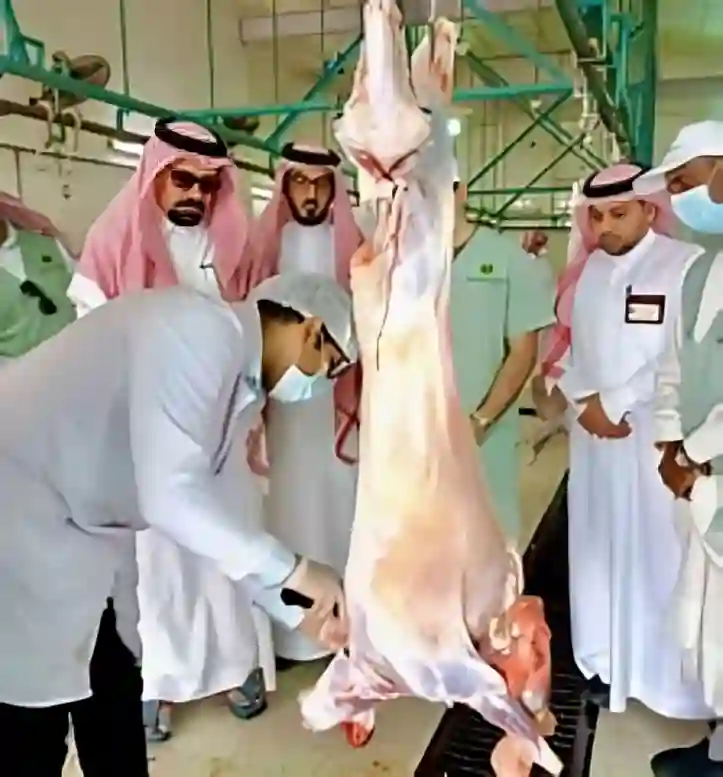 الذكاء الاصطناعي، المسالخ