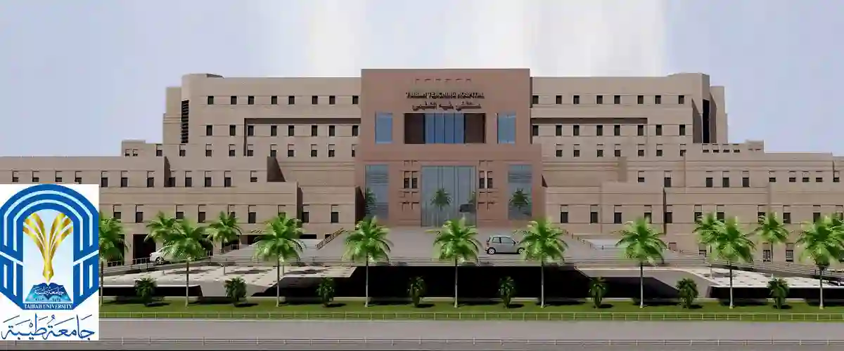 طيبة: برنامج