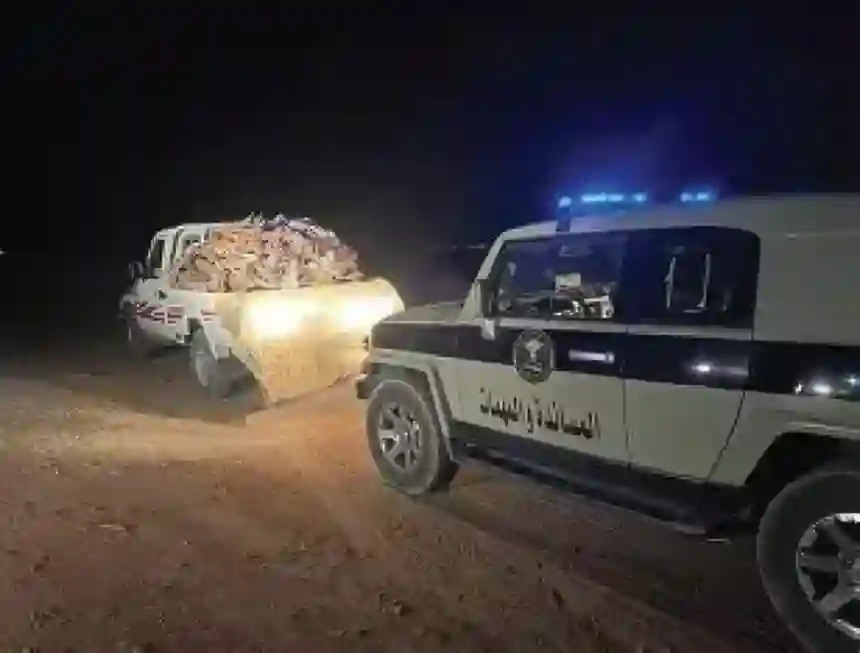 ضبط ناقل حطب محلي مخالف