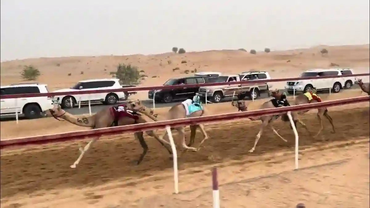 سباق