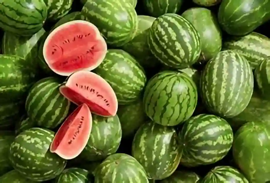 البطيخ يفتتح موسم الصيف