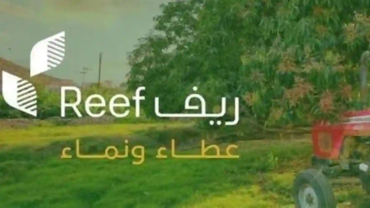 ريف السعودية