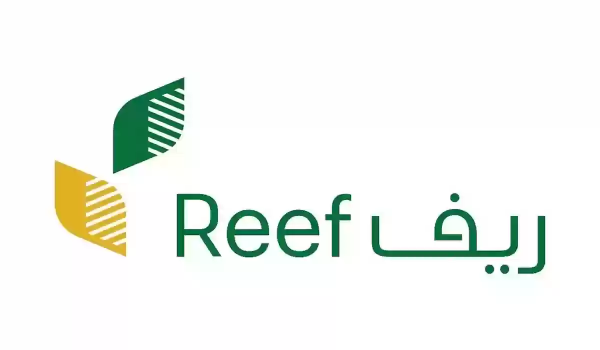دراسة جدوى دعم ريف
