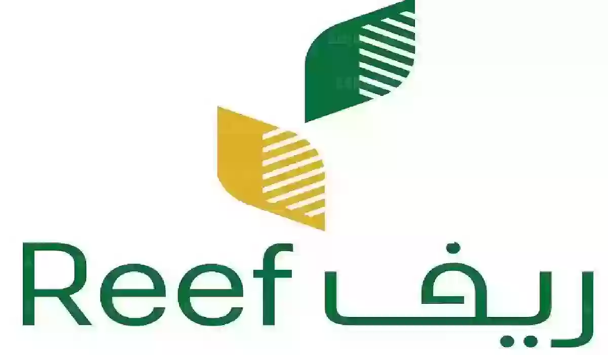 ما هي المشاريع التي يدعمها ريف؟ البيئة والزراعة تجيب بعد توجيهات خادم الحرمين