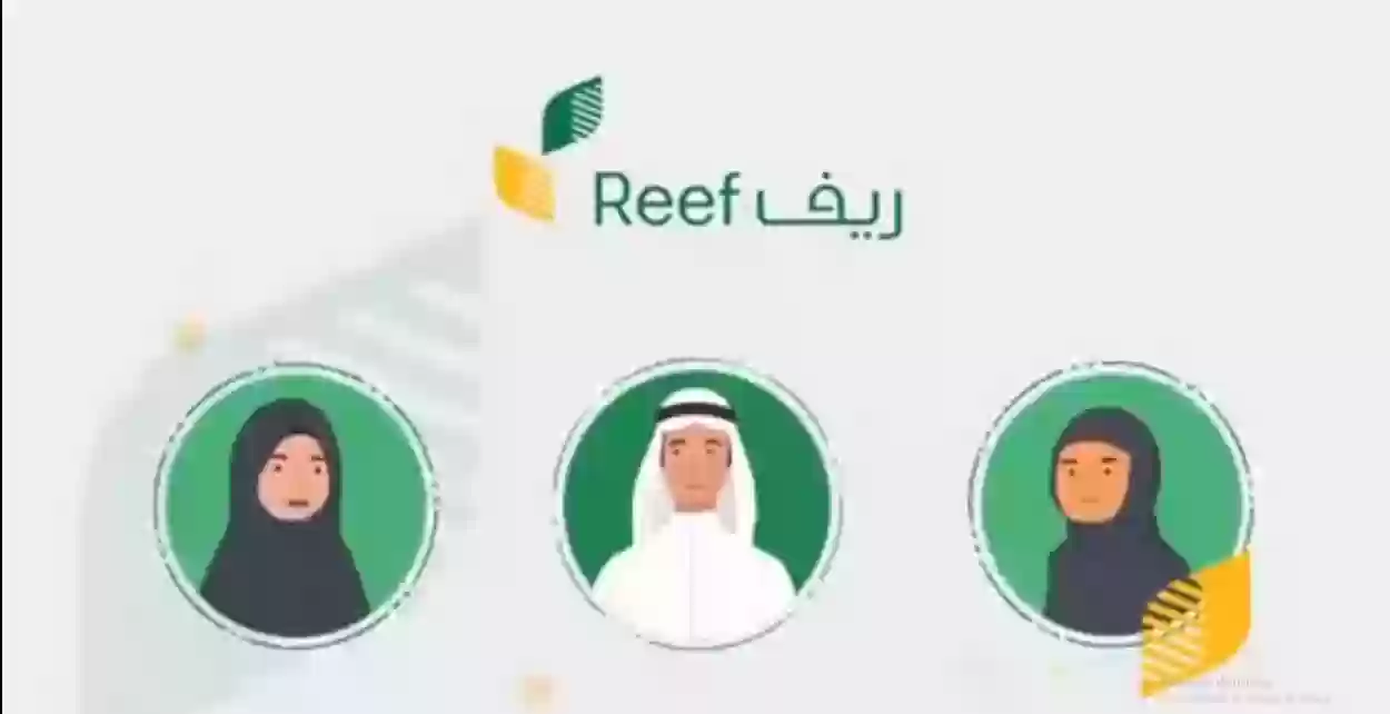 ما هي خطوات الاستعلام عن دعم ريف برقم الهوية وبكل سهولة 1445