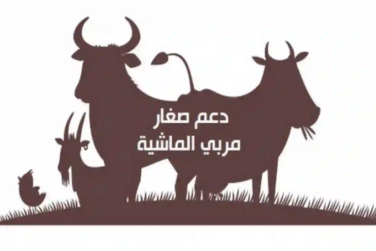 إيداع دعم المواشي لدفعة شهر أبريل 2025 بهذا التاريخ وفق إعلان الوزارة