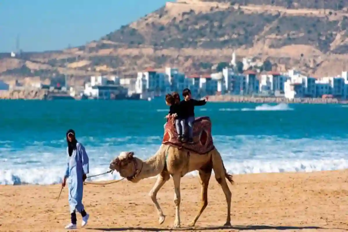 18 وكالة سفر سعودية تستكشف كنوز السياحة في تونس