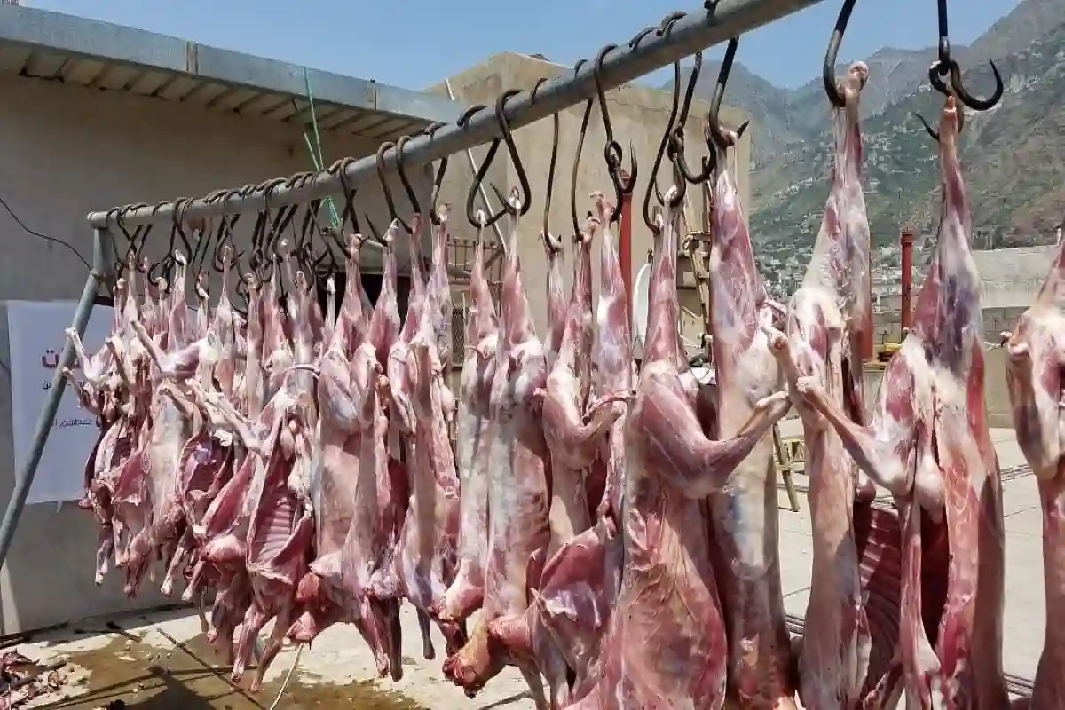 لحوم الأضاحي المهربة وغير المختومة