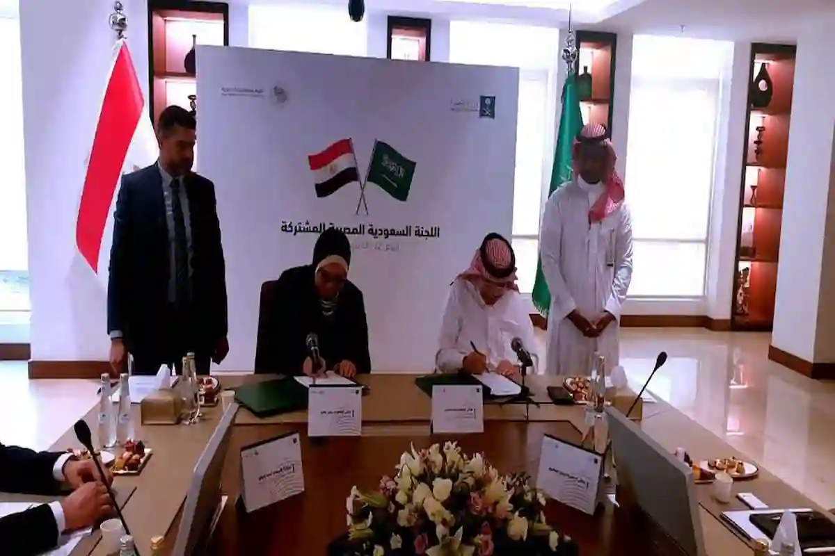 100 شركة تستكشف فرص التعاون وبناء شراكات بعدة مجالات في القاهرة