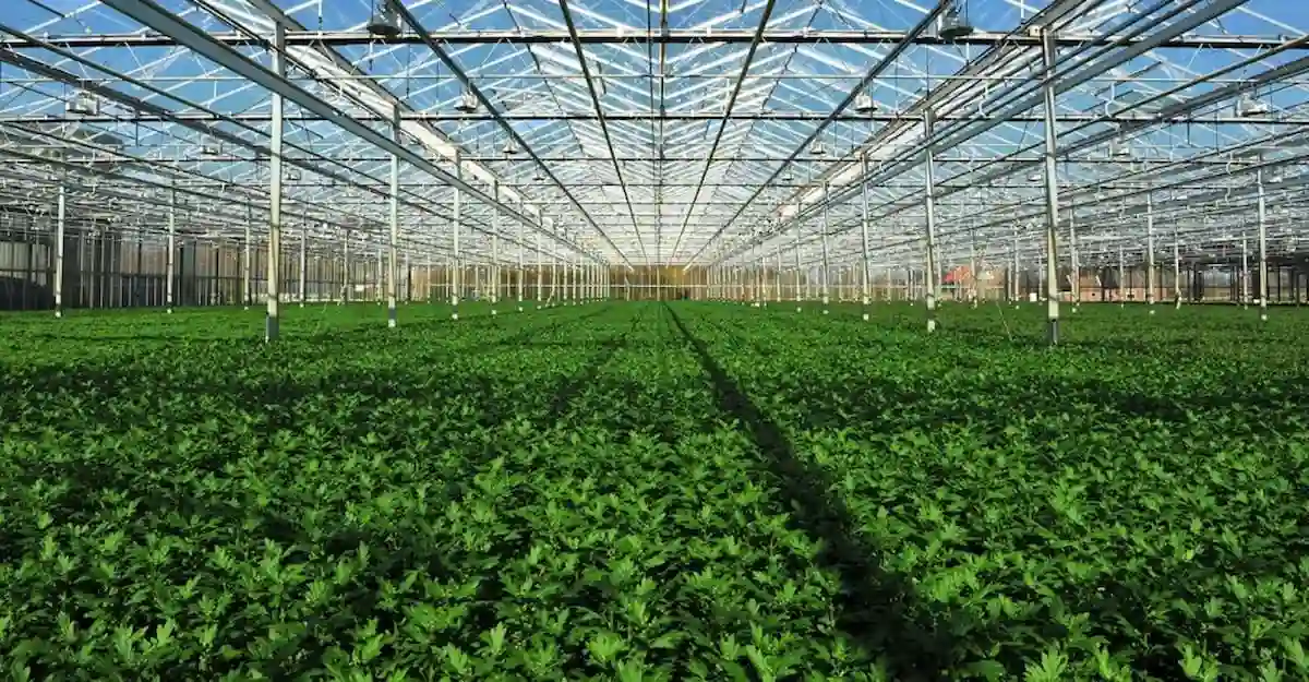 الزراعة المستدامة