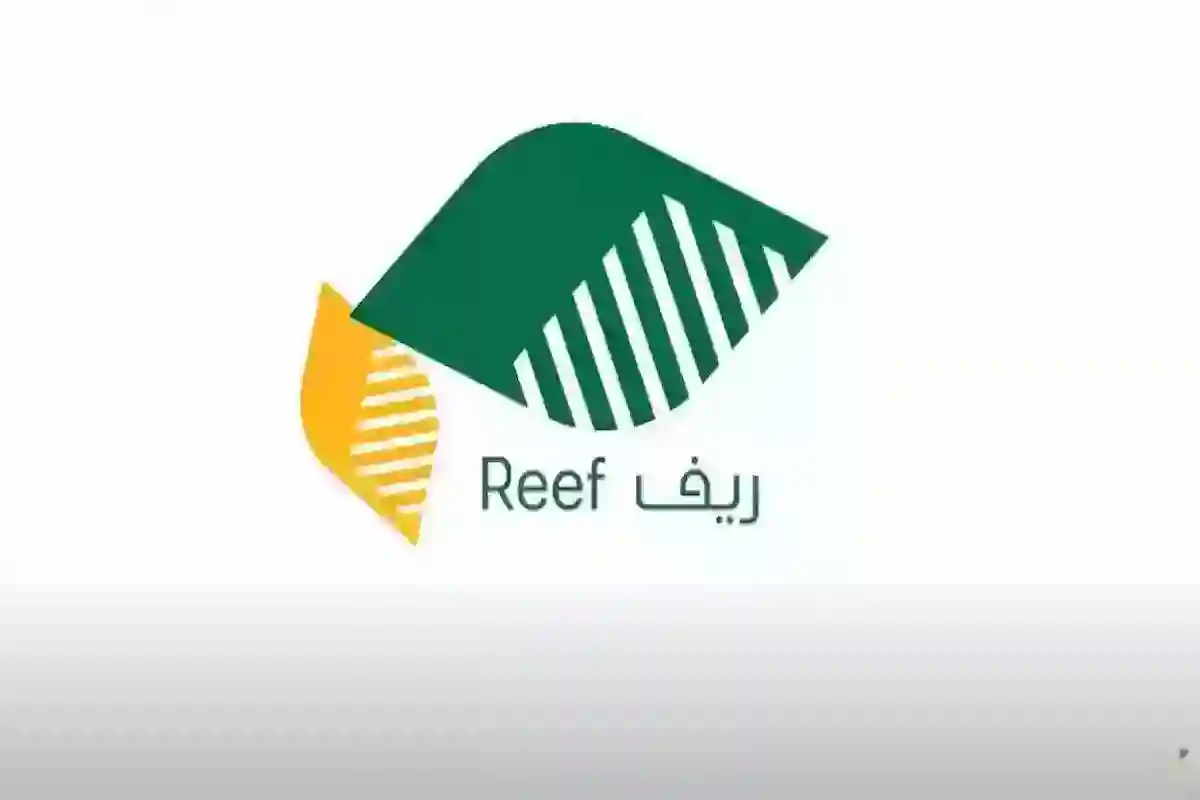 موعد إيداع دعم ريف لدفعة شهر مايو المقبلة 2025.. وزارة البيئة تعلن