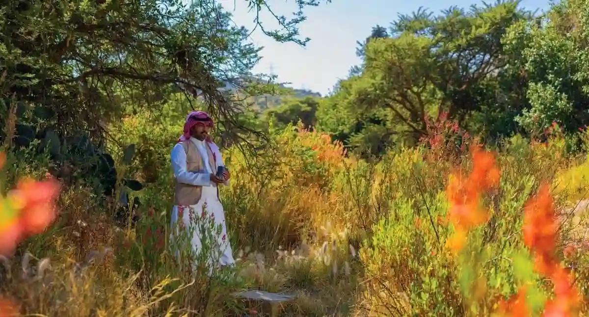 اليوم العالمي لمكافحة التصحر
