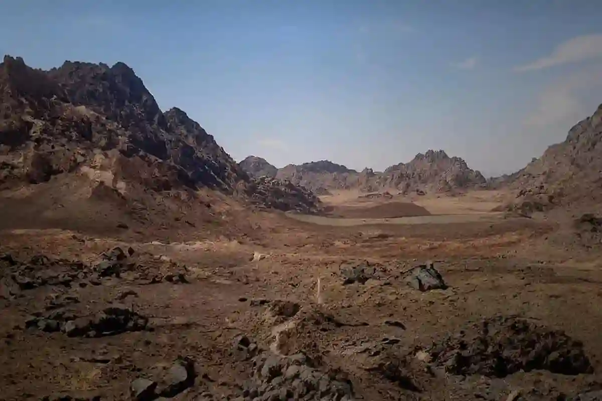 متحدث المركز الوطني لتنمية الغطاء النباتي يتحدث عن شبكة الجيوبارك