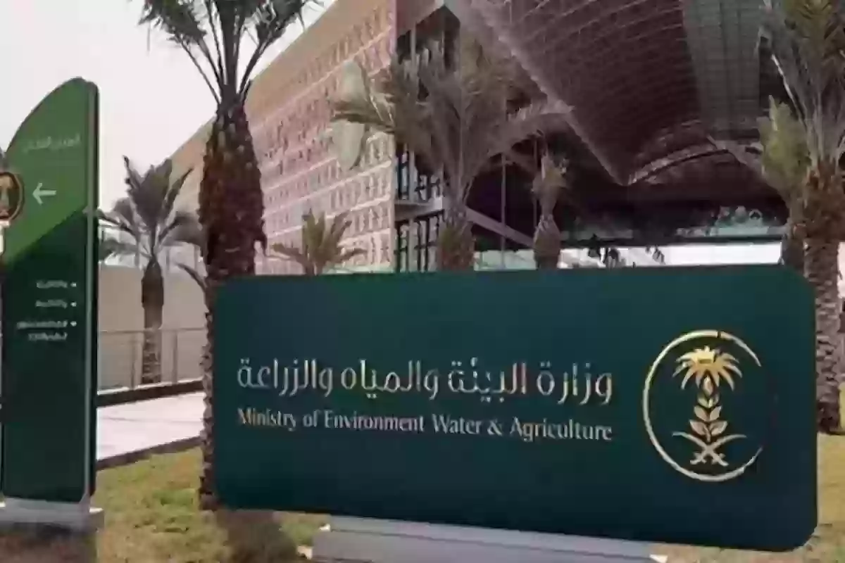 يكشف عن الإجراءات الواجبة أثناء تخزين حبوب القمح