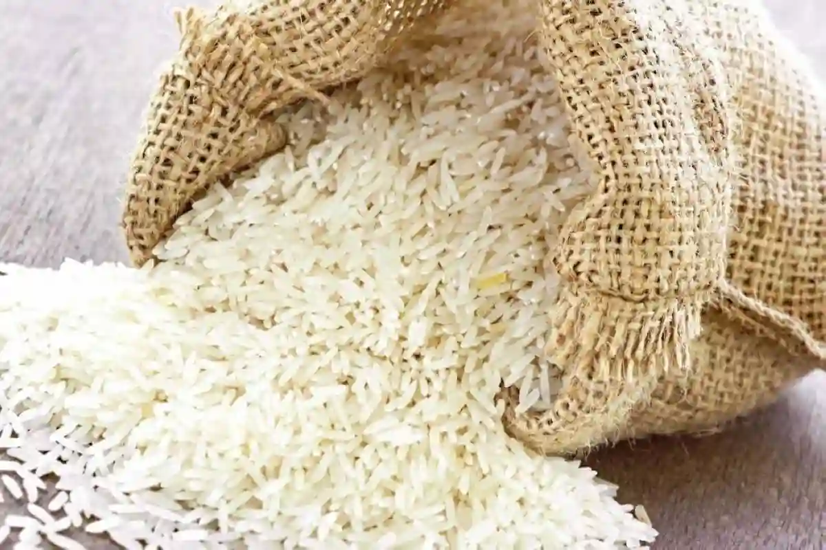  اليابان تدرس زيادة وارادات الأرز الأمريكي بأكثر من 100 ألف طن