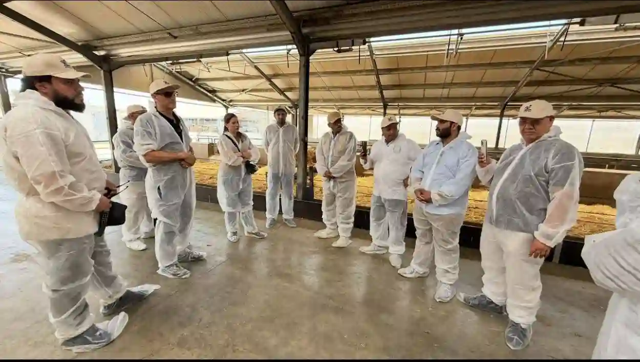استثمار سعودي