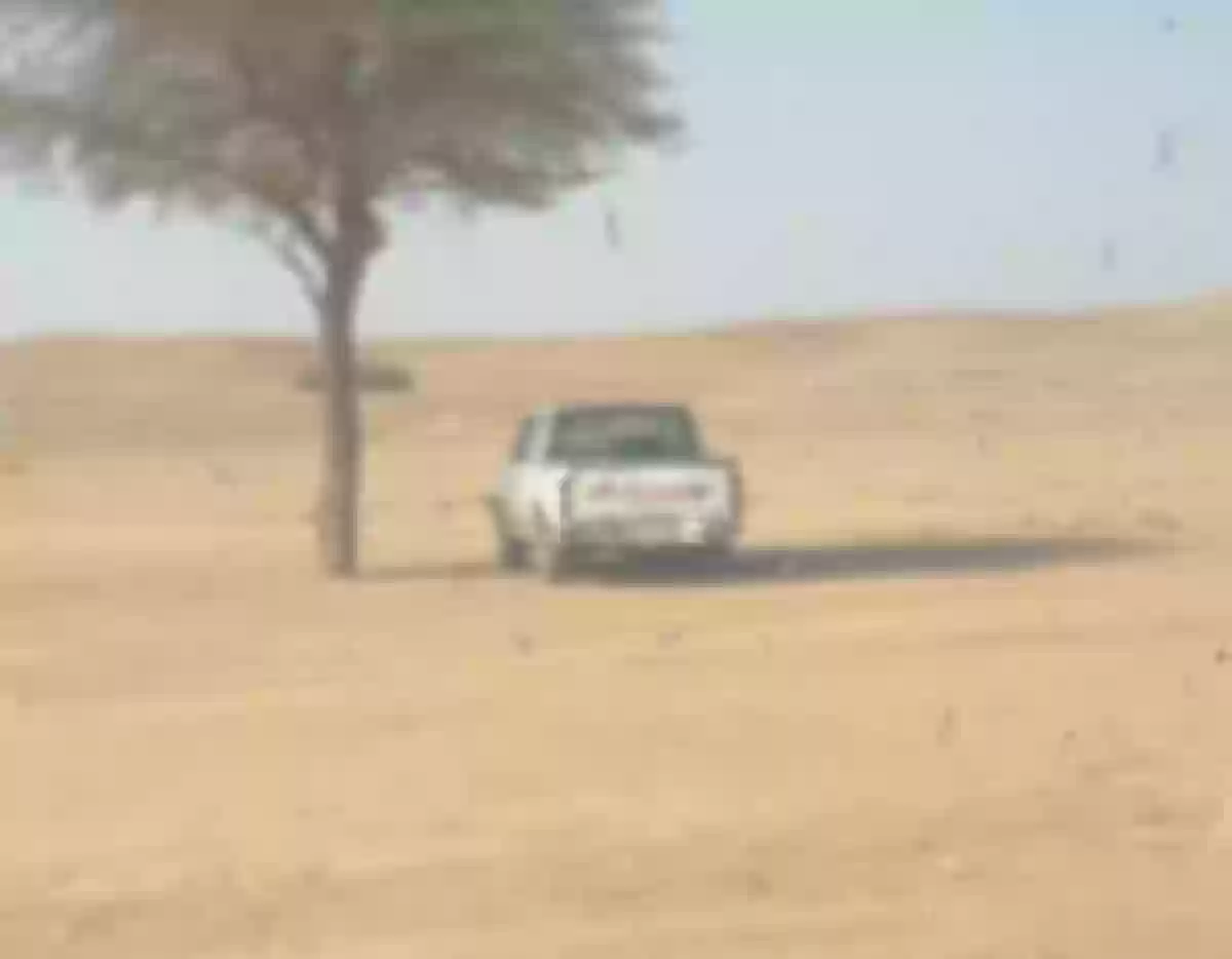 العثور على مواطن مفقود لفترة في وادي