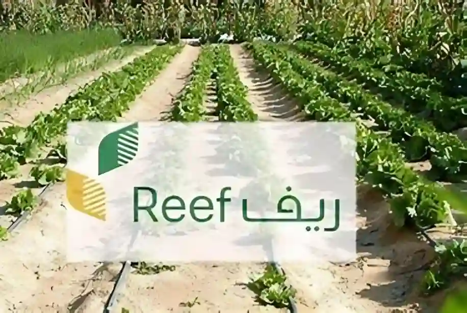 ريف السعودية يدعم 87 ألفًا