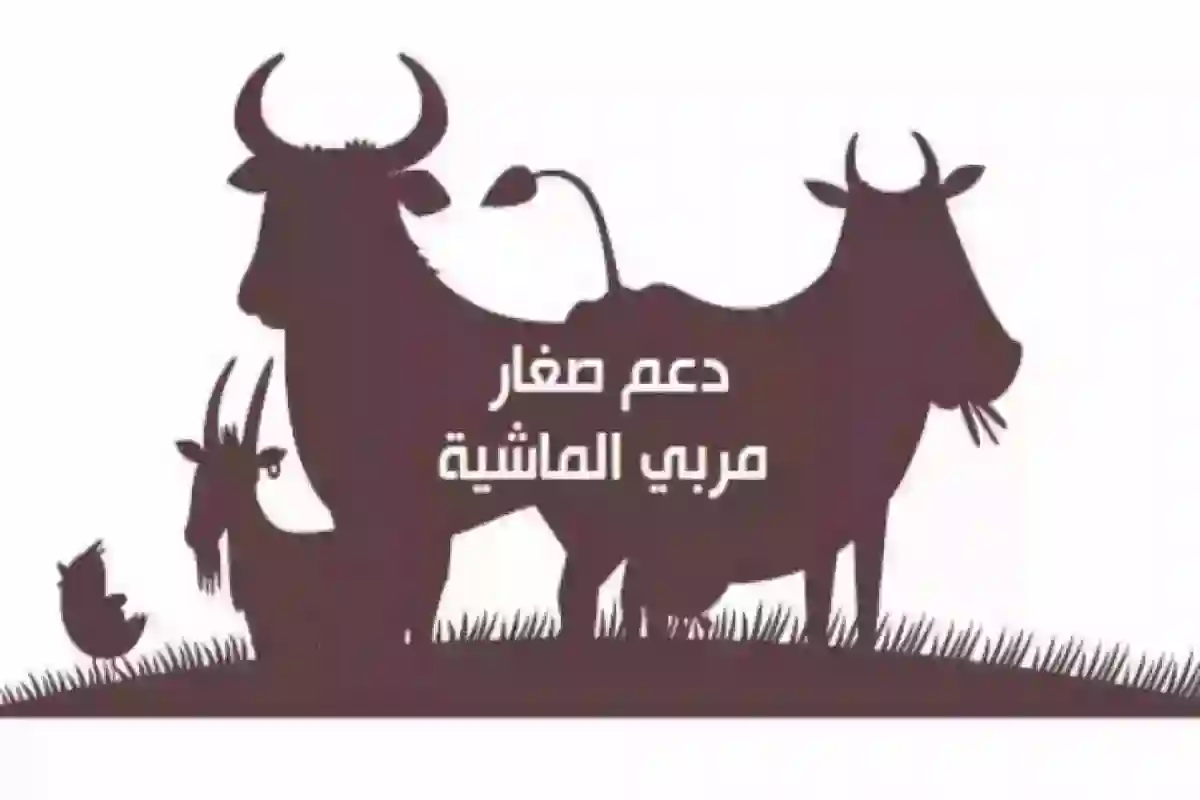 وزارة البيئة والزراعة تحدد موعد صرف دعم المواشي لدفعة شهر أبريل 2025
