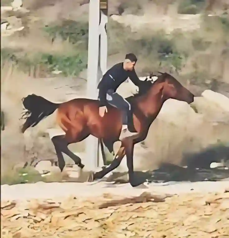 مرابط الخيول تجذب سياح الرياض