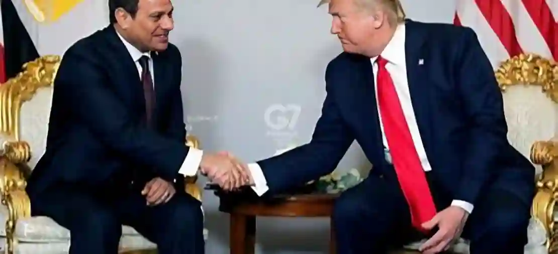 ترنب