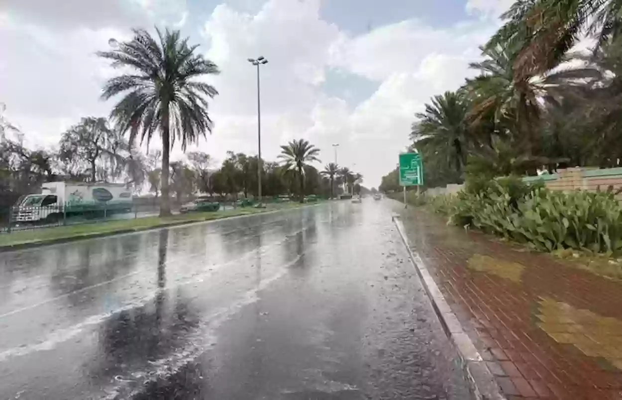 أمطار رعدية ورياح متربة في جازان والباحة و3 مناطق