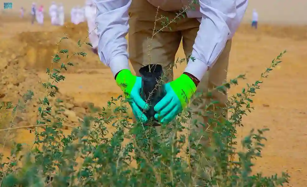 محمية طبيعية جديدة بالمملكة قريبًا