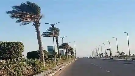 رياح نشطة تضرب طريف اليوم