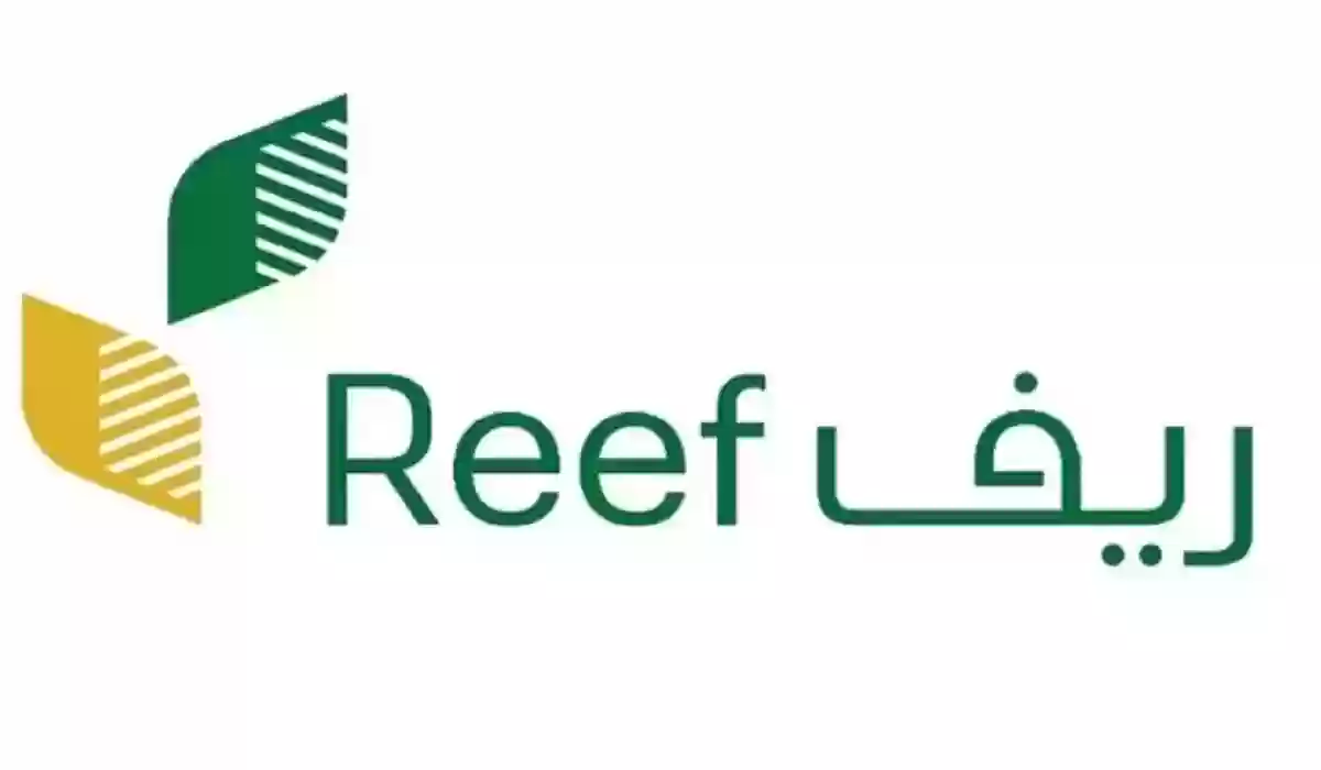 الاستعلام عن الدفعة الجديدة من دعم ريف لشهر فبراير