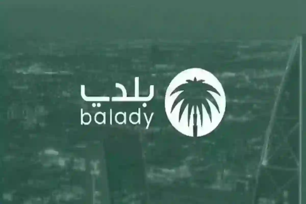 ادخل على منصة بلدي واعرف الخدمات الإلكترونية وطرق الوصول لها الآن!